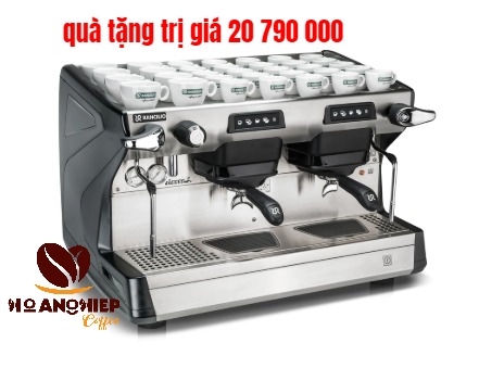 may-pha-ca-phe-rancilio-classe-5-usb-2-group