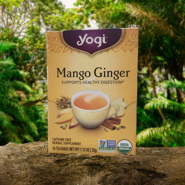 TRÀ XOÀI GỪNG HỮU CƠ  HỖ TRỢ TIÊU HÓA YOGI MANGO GINGER