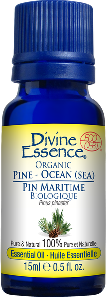 Tinh dầu thông đại dương 15ml- Divine Essence