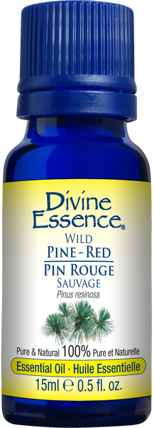 Tinh dầu Thông đỏ dại 15ml - Divine Essence