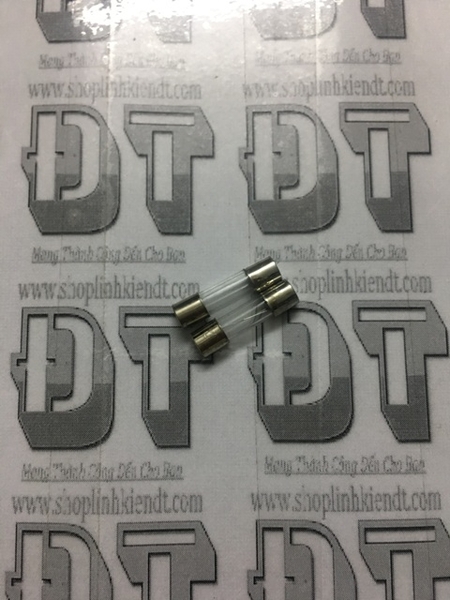 cau-chi-thuy-tinh-5x20mm-1a-250v