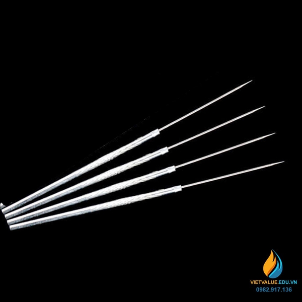 Que cấy vi sinh đầu thẳng, dài 20cm, xiên lấy mẫu đầu thẳng thí nghiệm ...