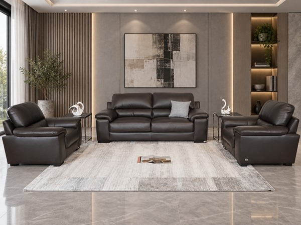 Mua sofa nhập khẩu uy tín ở Hà Nội: Nên chọn ở đâu?