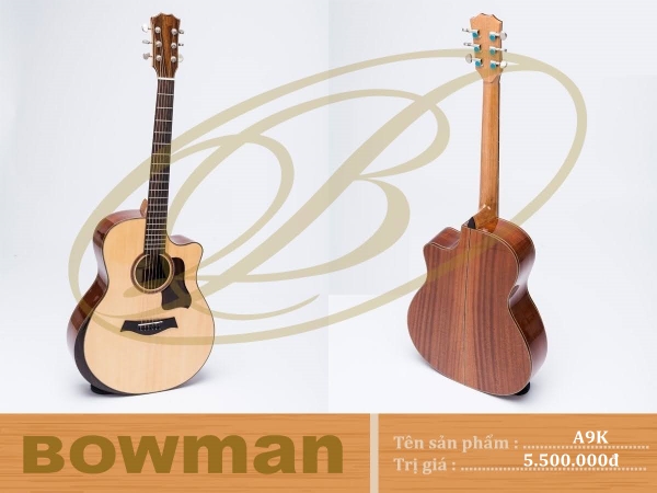 bowman-acoustic-a9k