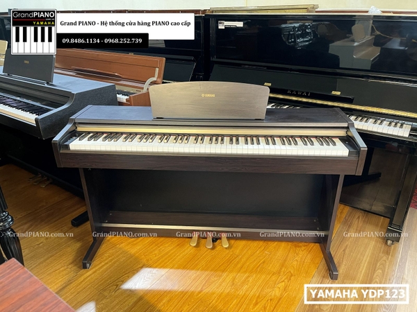 dan-piano-dien-yamaha-ydp123