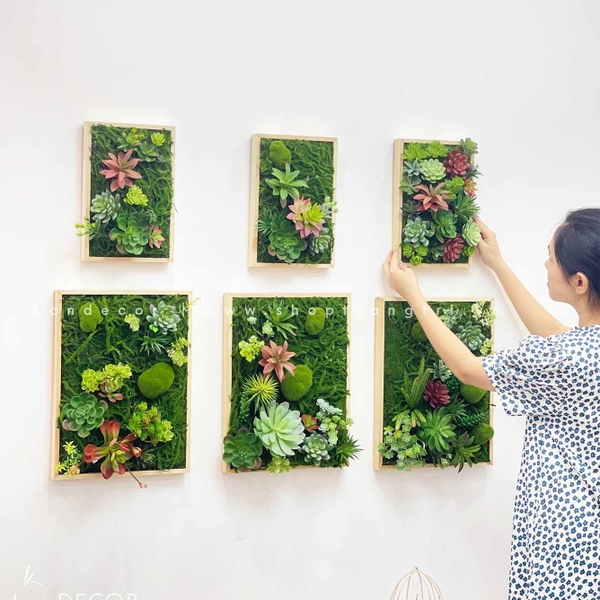 Decor tối giản nhưng vẫn có cảm xúc – Bí quyết nằm ở top mẫu sen đá độc đáo của LanDecor