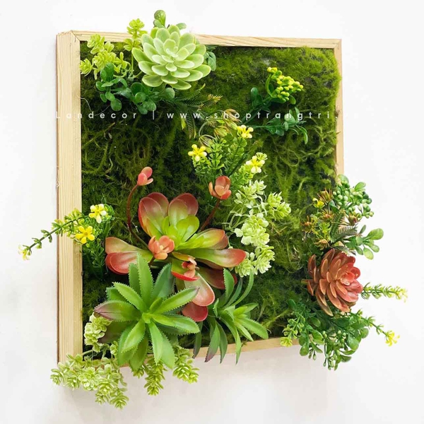 KHUNG TRANH RÊU SEN ĐÁ TRANG TRÍ TIỂU CẢNH - KTR09(30X30) Cây Giả Trang ...