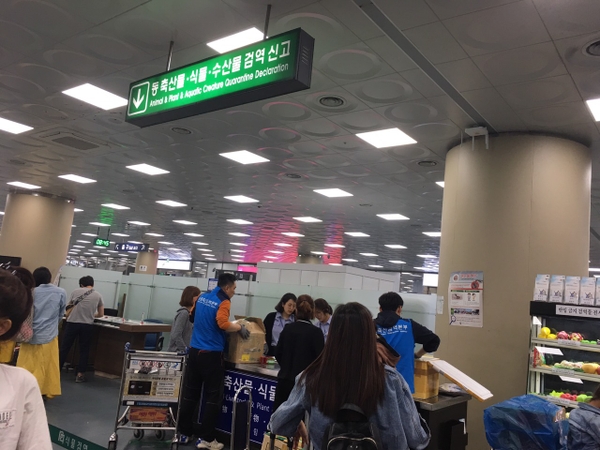 nhập cảnh Hàn Quốc