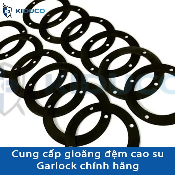 cung cấp vòng đệm cao su Garlock (Hoa Kỳ) chính hãng tại Việt Nam