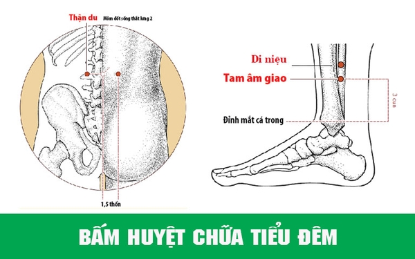 cach-bam-huyet-tri-tieu-dem-don-gian-hieu-qua