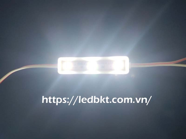 module-3-led-mau-trang-24-28v