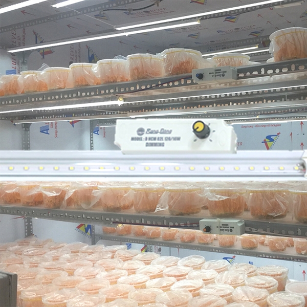 Đèn LED NCM02.DIM 1200/16W 6500K