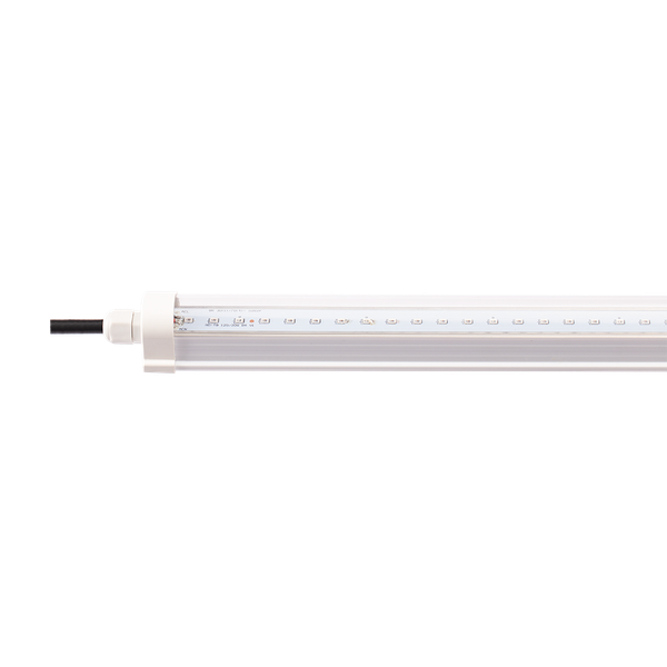 Bộ đèn LED Tube T8 LT 1200/30W B/R (IP65)