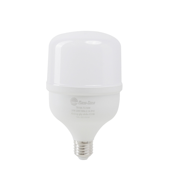 Bóng LED Bulb Tàu cá TR100.TC/30W E27 6500K