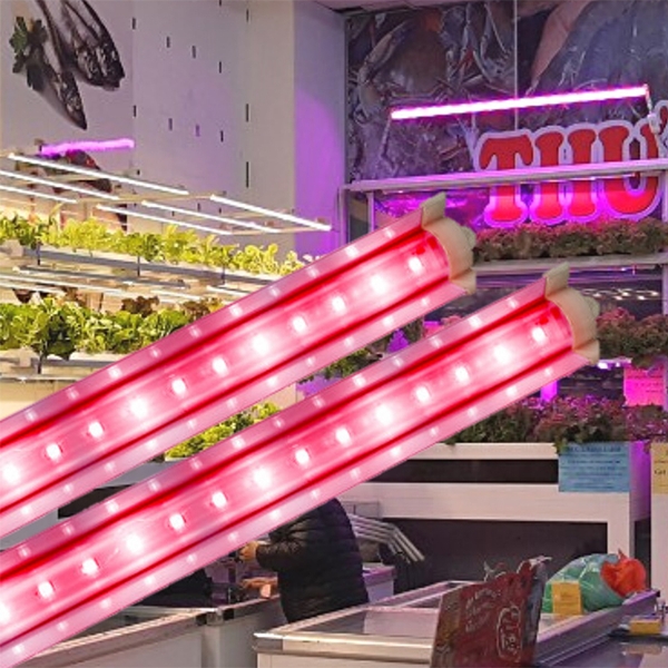 Đèn LED TRR 120/25W-100% RED