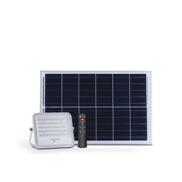 Đèn LED Chiếu pha NLMT CP02.SL.RF 30W.TC 6500K