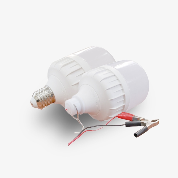 Bóng LED bulb TR100N1/30W.DC 6500K (12-24VDC Kẹp)