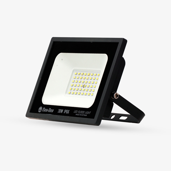 Đèn LED Chiếu pha CP10 30W 6500K SS