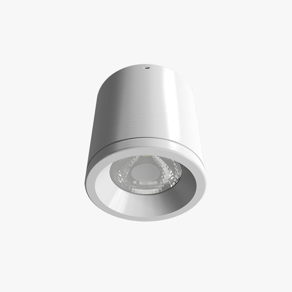 Đèn LED Downlight nổi trần NT01 90/10W 4000K