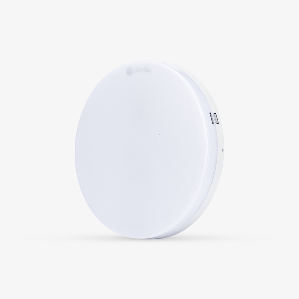 Đèn LED ốp trần đổi màu LN12 300/24W SS