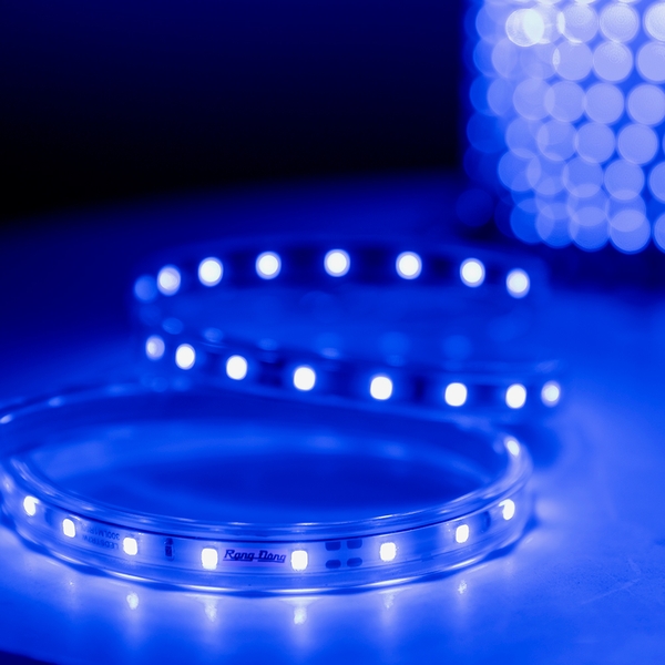 Đèn LED dây LD01.B 1000/7W (100m)