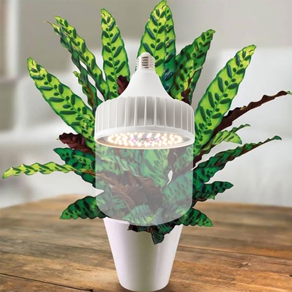 Đèn LED trồng cây LED CX-T135/50W WR-220V