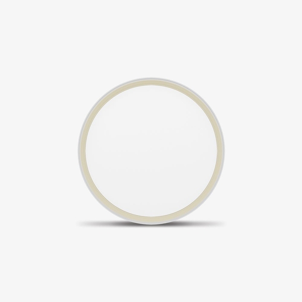 Đèn LED ốp trần đổi màu LN28 400/40W