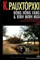 Bông hồng vàng và bình minh mưa