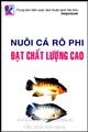 Nuôi cá rô phi đạt chất lượng cao