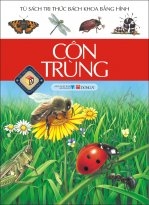 Côn trùng