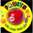 Fruit - Các loại trái cây