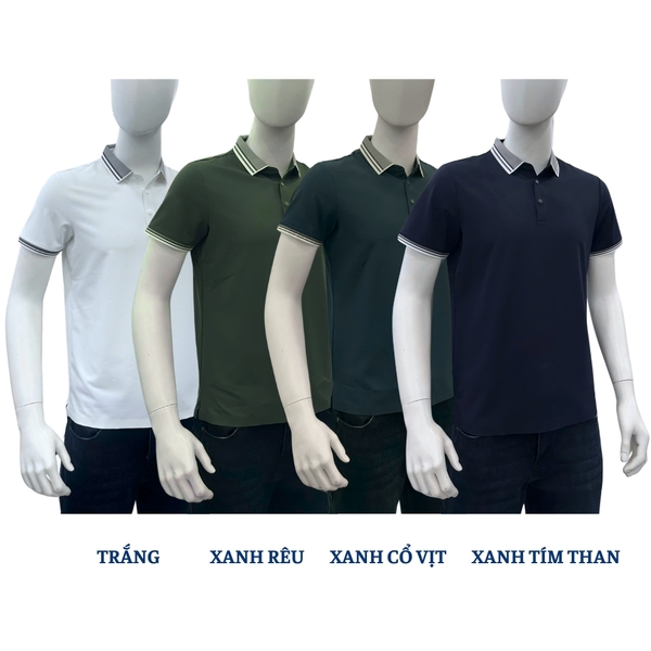 Áo Polo nam B82868