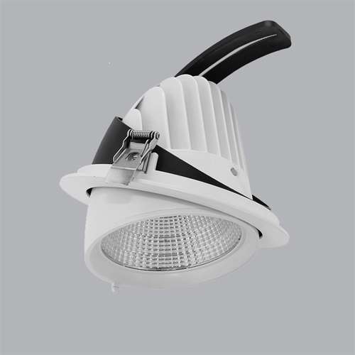 den-downlight-dieu-chinh-mpe-12w