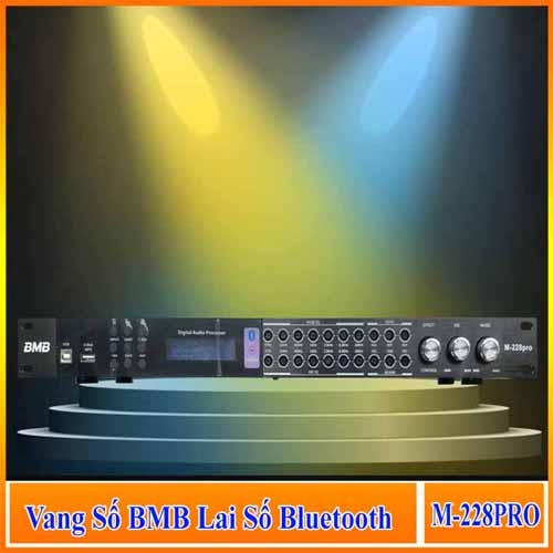 vang-so-chinh-co-bmb-m228-pro