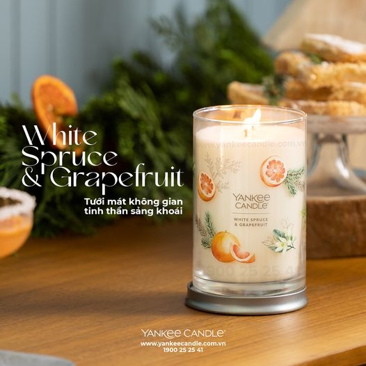WHITE SPRUCE & GRAPEFRUIT MÙI HƯƠNG MÁT MẺ, ĐẦY SẢNG KHOÁI YANKEE