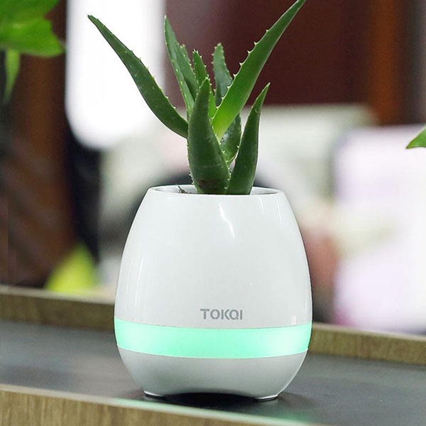 Loa bluetooth kiêm chậu trồng cây TOKQI