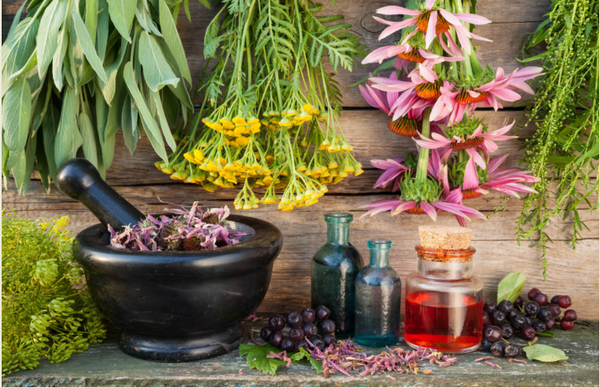 Dầu Gội Thảo Dược Nào Giúp Phục Hồi Tóc Hư Tổn Nặng?