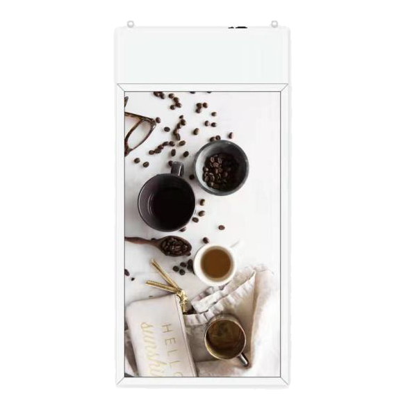 Màn Hình Quảng Cáo LCD 2 Mặt Dạng Treo Trần