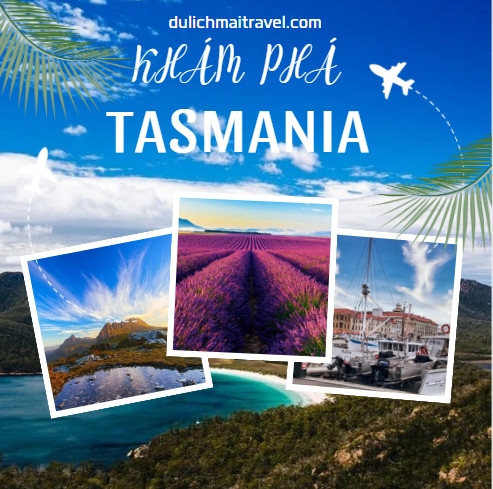 [TOUR ÚC 6N5D 2024 ]  TASMANIA,LAUNCESTON,HOBART,MÙA HOA LAVENDER,BAY VN