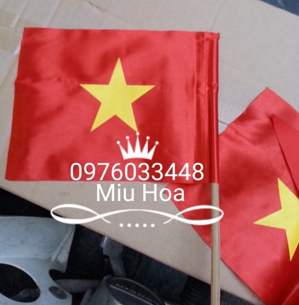 co-viet-nam