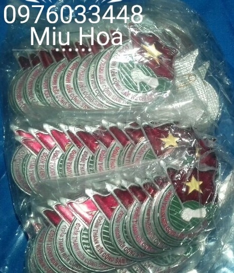 huy-hieu-doan