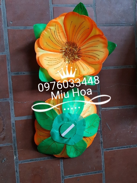 hoa-mua-mau-05-mau-cam