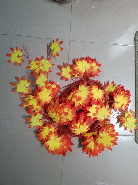 canh-hoa-lua-thu-vang