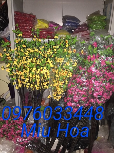 canh-hoa-lua