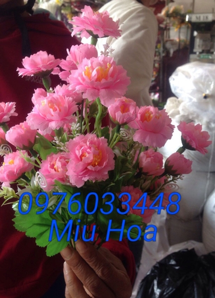 canh-hoa-lua-17