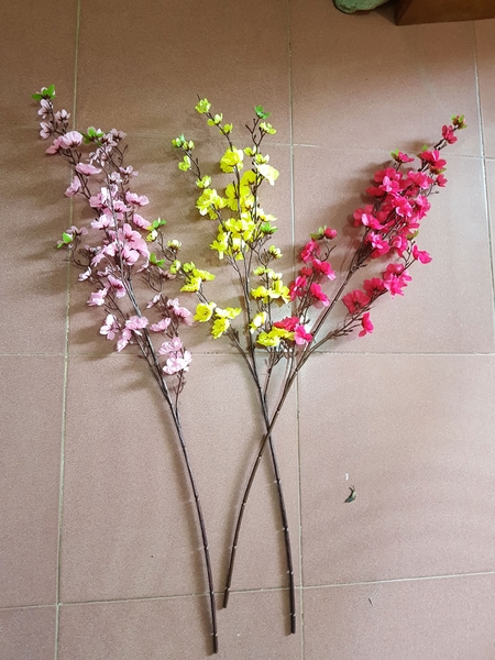 canh-hoa-mai