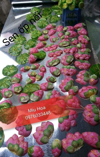 sen-op-noi
