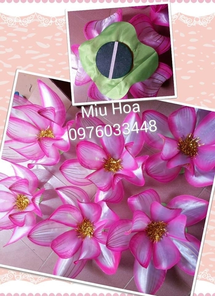 hoa-sen-mua-mau-02