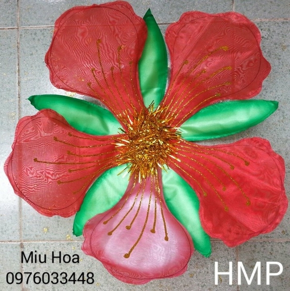 hoa-mua-mau-22