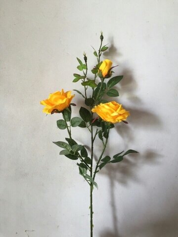 canh-hoa-hong-vang